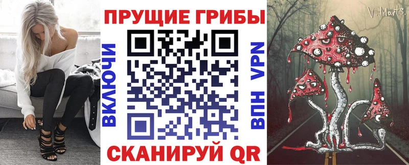 Галлюциногенные грибы Psilocybe  даркнет сайт  Углегорск 